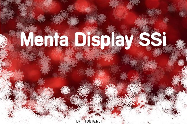 Menta Display SSi example